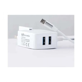 Smartberry 3.1A Fast Charger Micro USB, C301 price in uae