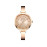 Curren Alloy Analog Watch J3184RG-KM price in uae