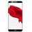 TP-LINK Neffos C9 Dual Sim Fingerprint Smartphone(Android OS,5.99 Inch, 4G+WiFi,16GB+2GB) in uae