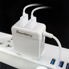 Smartberry 3.1A Fast Charger Micro USB, C301