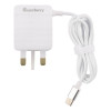 Smartberry 3.1A Fast Charger C301T