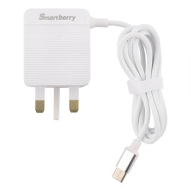Smartberry 3.1A Fast Charger C301T price in uae