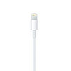 Apple 2-In-1 Handsfree With Lightning Cable For iPhone White