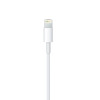 Apple In-Ear Earphones With Lightning Connector White