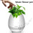 Smart Touch Plant Night Light Bluetooth Speaker Wireless Music Flower Pots in uae