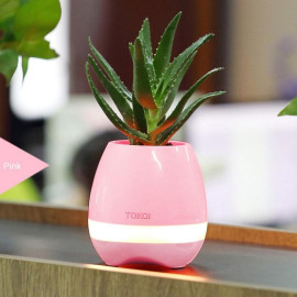 Smart Touch Plant Night Light Bluetooth Speaker Wireless Music Flower Pots price in uae
